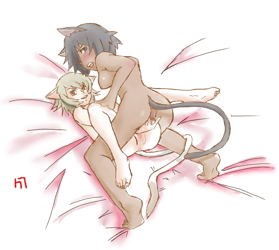 ファイル 15-1.jpg